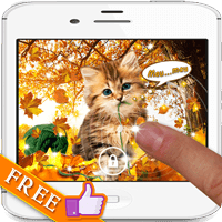 Autumn Kitty HD live wallpaper