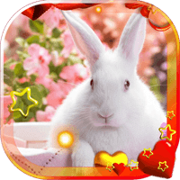 Valentine Rabbits HD LWP