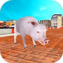 Animal Racing: Pig