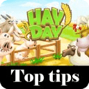 Hay Day Top Tips