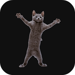 Dancing Cat Live Wallpaper