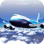 Aircraft Flight Simulator