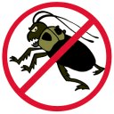 Kill the Bugs