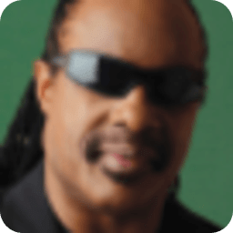 Stevie Wonder