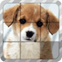 Pet Sliding Puzzle: Free