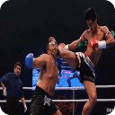 Boxing Fight HD Game