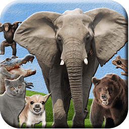 ABC Animals Zoo