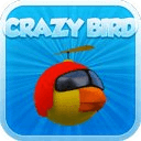 Silly Crazy: Bird