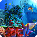 Coral Reef live wallpaper