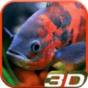 Aquarium 3D Video Wallpaper
