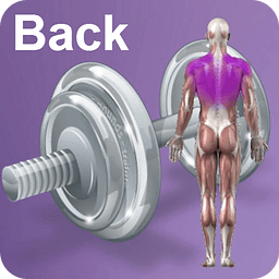 Daily Back Video Workouts