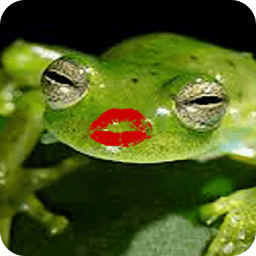 Kiss A Celebrity Or A Frog ???