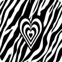 Black And White Zebra LWP PRO