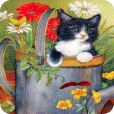 Garden kitten Live Wallpaper