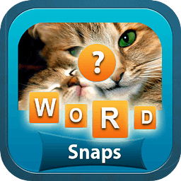 WordSnaps : 1 Word 4 Snaps