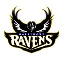 Baltimore Ravens Fan