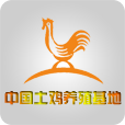 中国土鸡养殖基地
