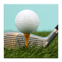 Golf Vocab
