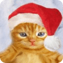 Christmas Kitten Calculator