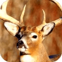 Deer Hunters