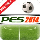 Guide for PES 2014
