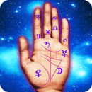 Palm Reader Guide