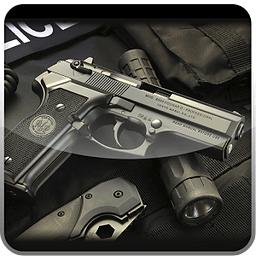 FBI Firearms HD Theme