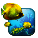 G3 Fish Tank Live Wallpapers