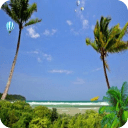 Beach Palm Trees Livewallpaper