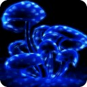 Mushroom Light effect Live Wallpaper