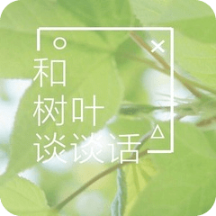 和树叶谈话壁纸桌面