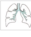 看看你的肺活量