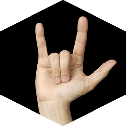 Learning Hand Sign Language