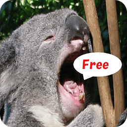 Koala Puzzle free