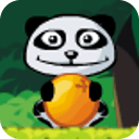 小熊猫吃橙子