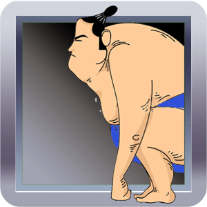 Sumo Fight