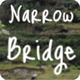 Narrow Bridge Personal Finance