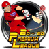 20-20 Premium league20-20高级联赛