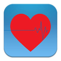 Intensive Care Logbook-lite