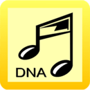 歌曲的DNA