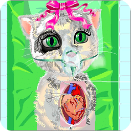 Cat Heart Surgery Games