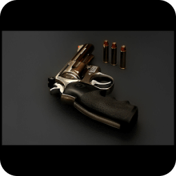 Weapons : Magnum 357