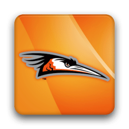 Delmarva Shorebirds