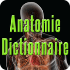 Anatomie Dictionnaire