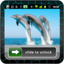 Dolphin Lock Screen Wallpaper