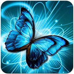 Butterfly Wallpaper