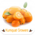 Kumquat Growers