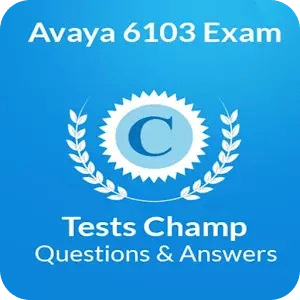 6103 Exam Quick Assessment