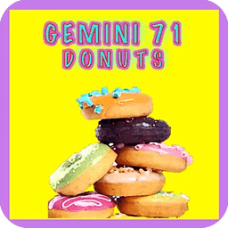 Gemini 71 Donuts