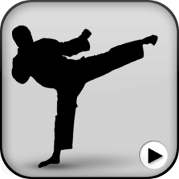 Martial Art Videos